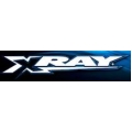 XRAY NT1 903258 HEX SCREW SFH M2.5x8  (10)